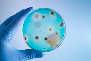 Стережіться: небезпечні бактерії для людей