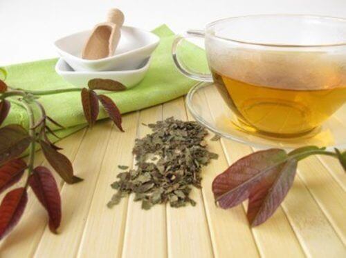 Чай з листя волоського горіха для очищення лімфатичної системи