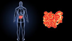 Що таке пахова грижа?