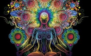 Шишкоподібне тіло як регулятор циклів та третє око