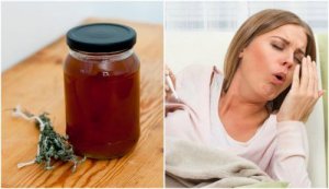 Натуральний сироп від кашлю з чебрецем та локрицею