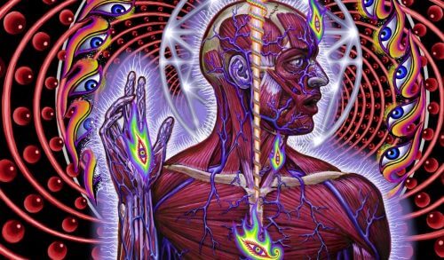 третє око у пінеальній залозі