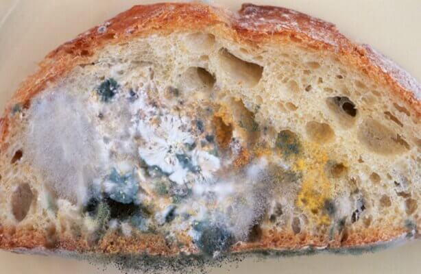 повернути хлібу свіжість