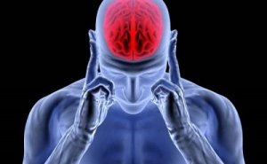 Виділення адреналіну: гормон збудження та стресу