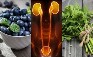 Корисні продукти для захисту нирок та сечового міхура