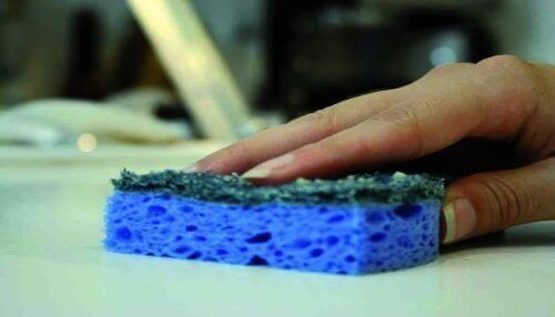 губки накопичують бактерії