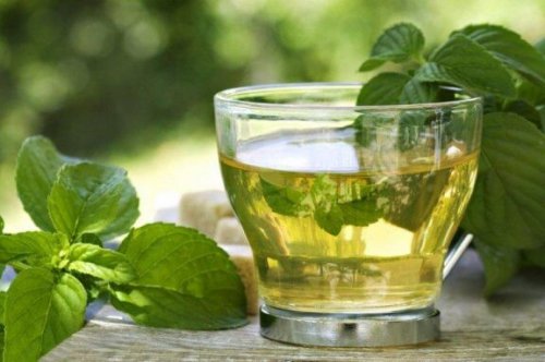 як приготувати зелений чай для схуднення