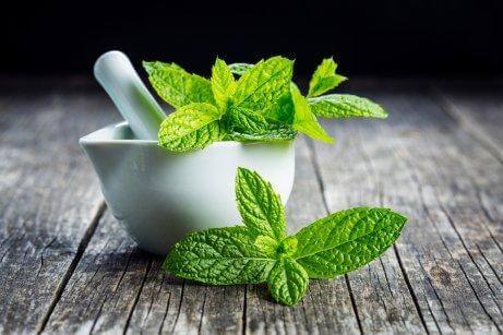 м'ята від подразнення горла