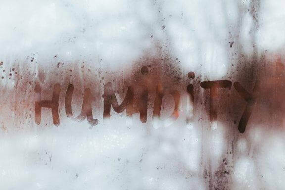 Як виявити надмірну вологу у вашому домі
