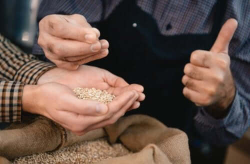 які цілі зерна додати до раціону