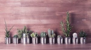 Три ідеї повторного використання алюмінієвих банок