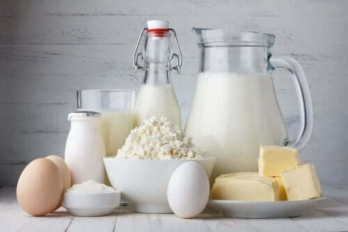 молочні продукти для вегетаріанців