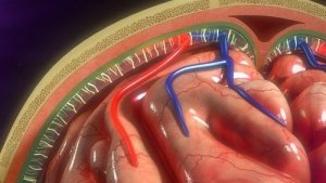 Інфузійний насос: використання та догляд за пацієнтами