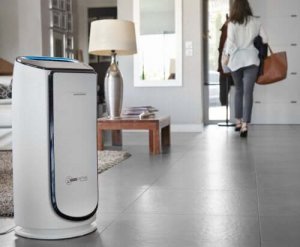 Очисник повітря допоможе боротися з пилком та алергією