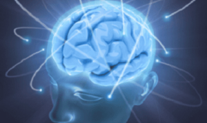 Чотири поради для зміцнення мозку
