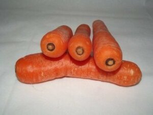 Вам відомі переваги моркви?