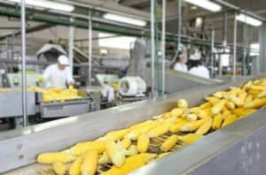 Як обробка їжі впливає на харчову цінність продуктів