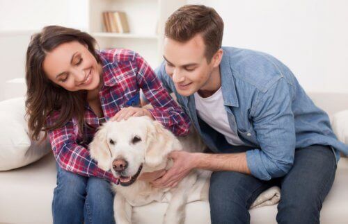 поради для пояснення терміну "смерть"