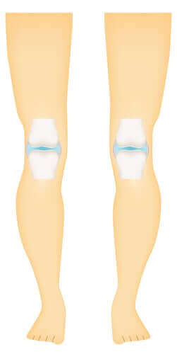 Синовіальні суглоби та їхні типи