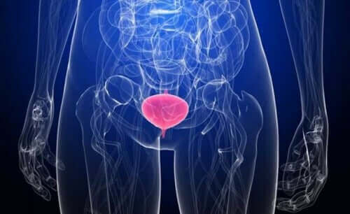 поширені причини інфекцій сечових шляхів