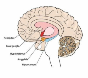 Атетоз - захворювання опорно-рухового апарату