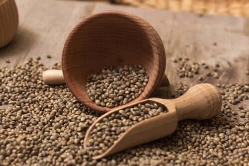 насіння коноплі для коктейлю