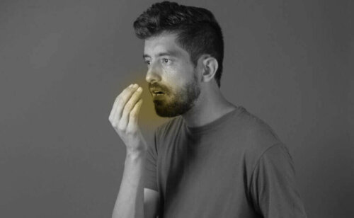 переваги кардамону від запаху з рота