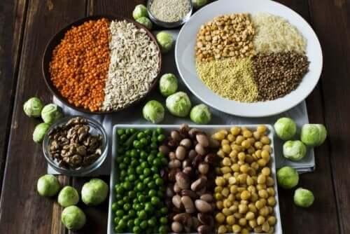 що потрібно знати про роль білків в організмі