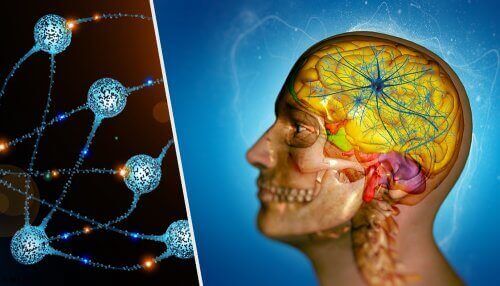 як утворюються метастази в мозку